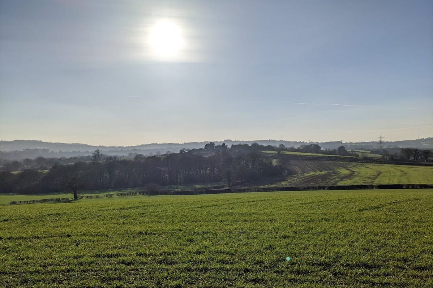 Lush green field bathed in bright sunlight