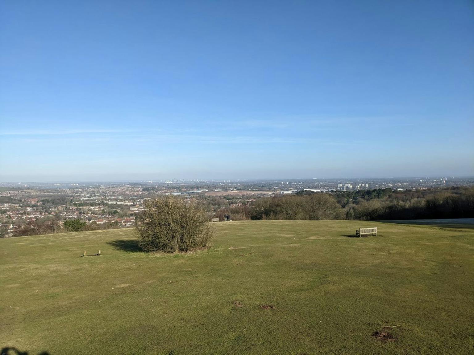 Panoramic view of a city skyline from a grassy hilltop with a wooden bench and a lone tree in the foreground