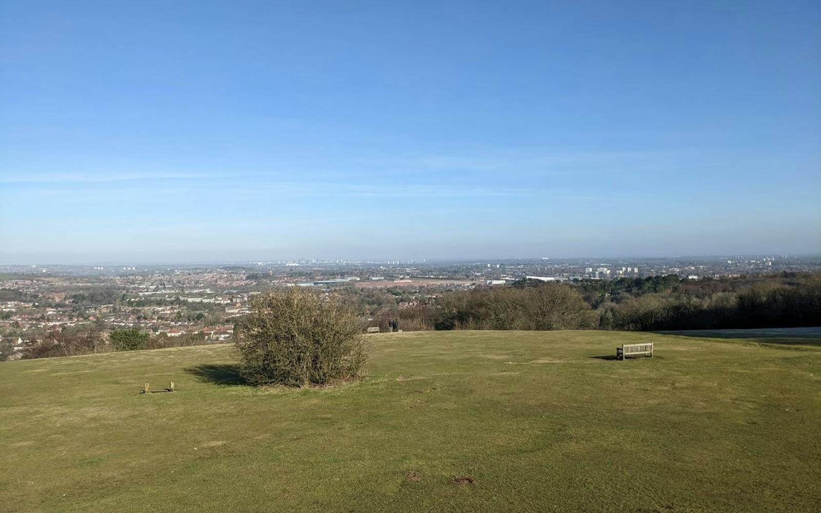 Panoramic view of a city skyline from a grassy hilltop with a wooden bench and a lone tree in the foreground