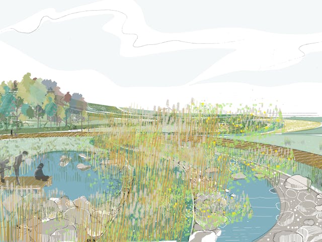 A colorful illustration of a wetland environment