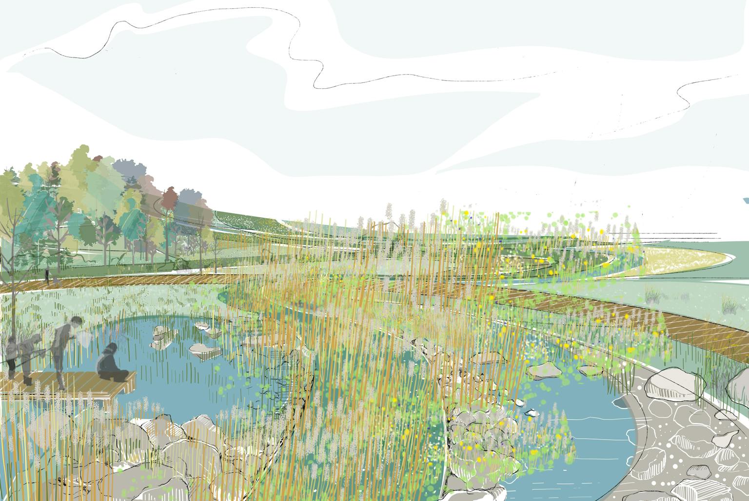 A colorful illustration of a wetland environment