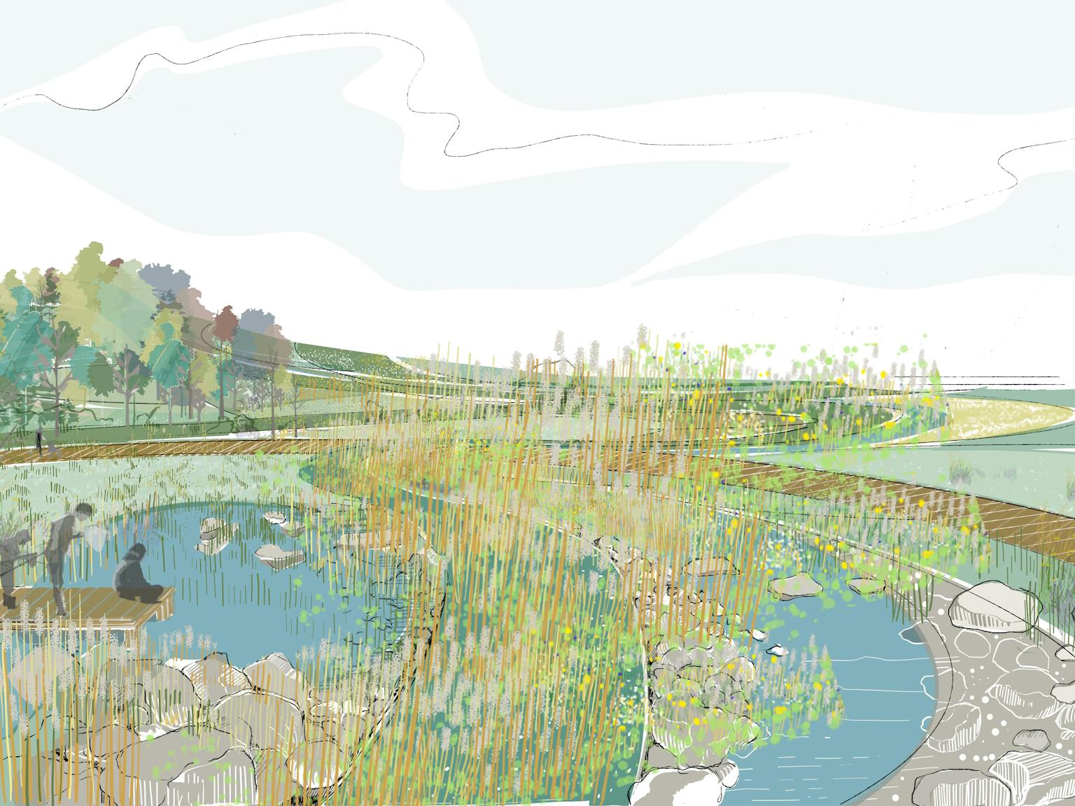 A colorful illustration of a wetland environment