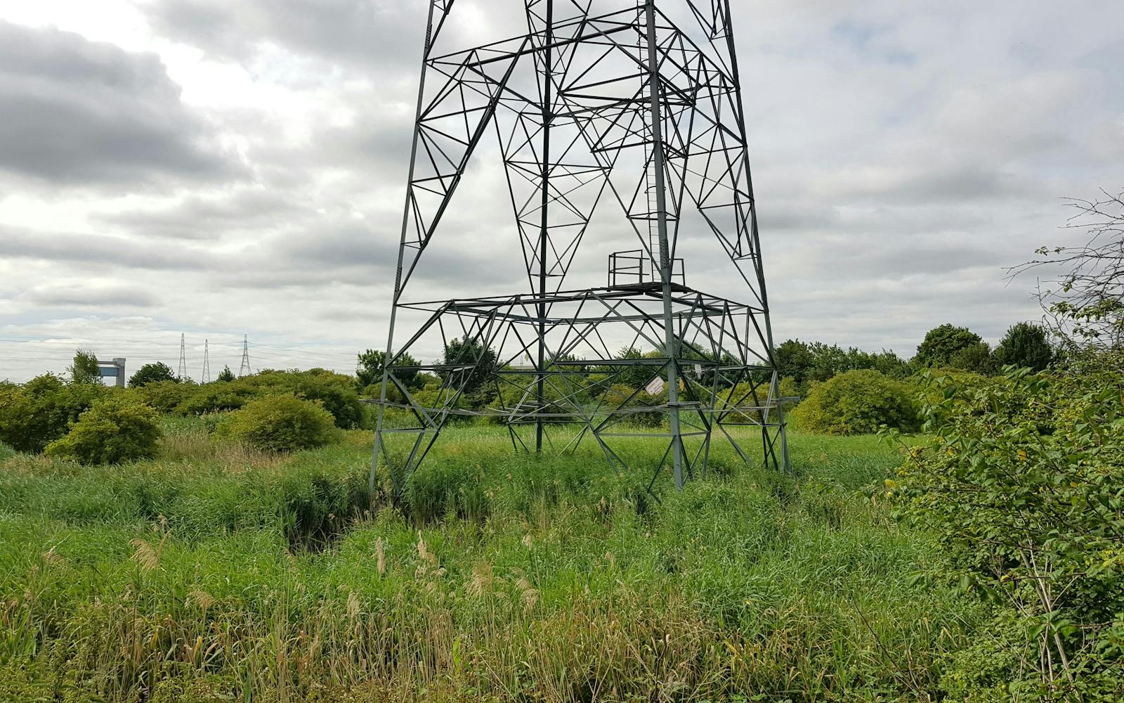 A tall metal lattice transmission tower stands in a field of tall grass and trees
