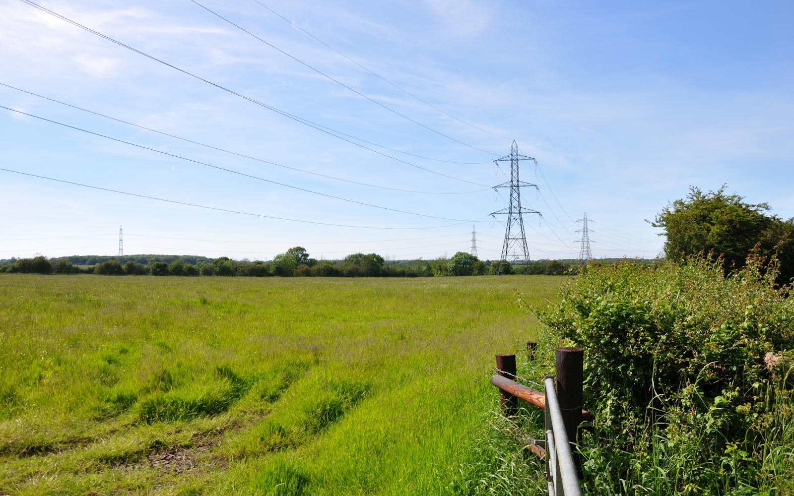 A grassy field stretches towards a horizon with power lines in the distance