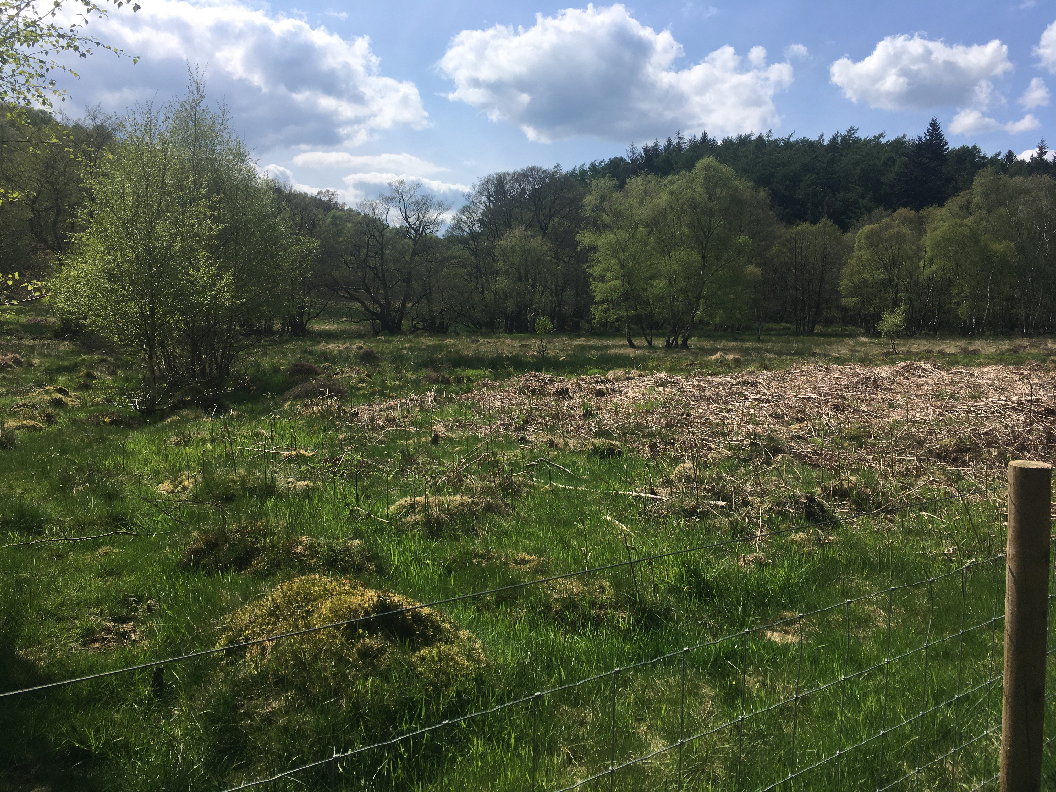 A fenced-in field of green grass with a barbed wire fence in the foreground