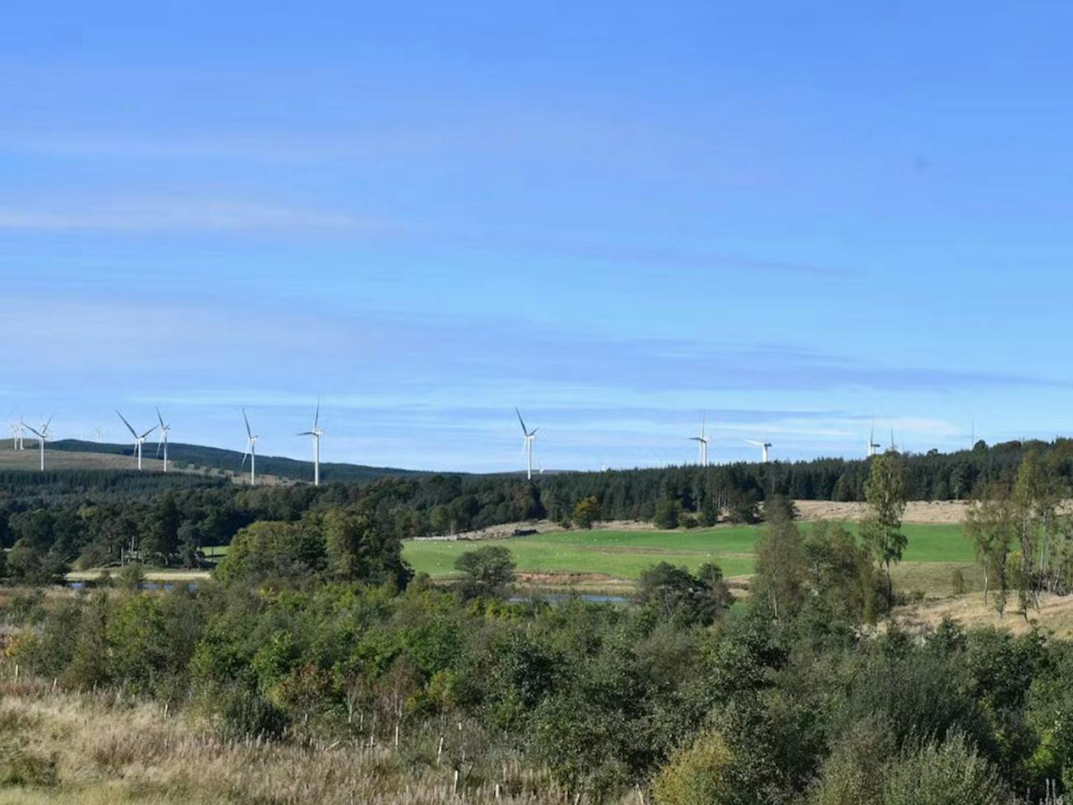 Countryside with trees and wind turbines