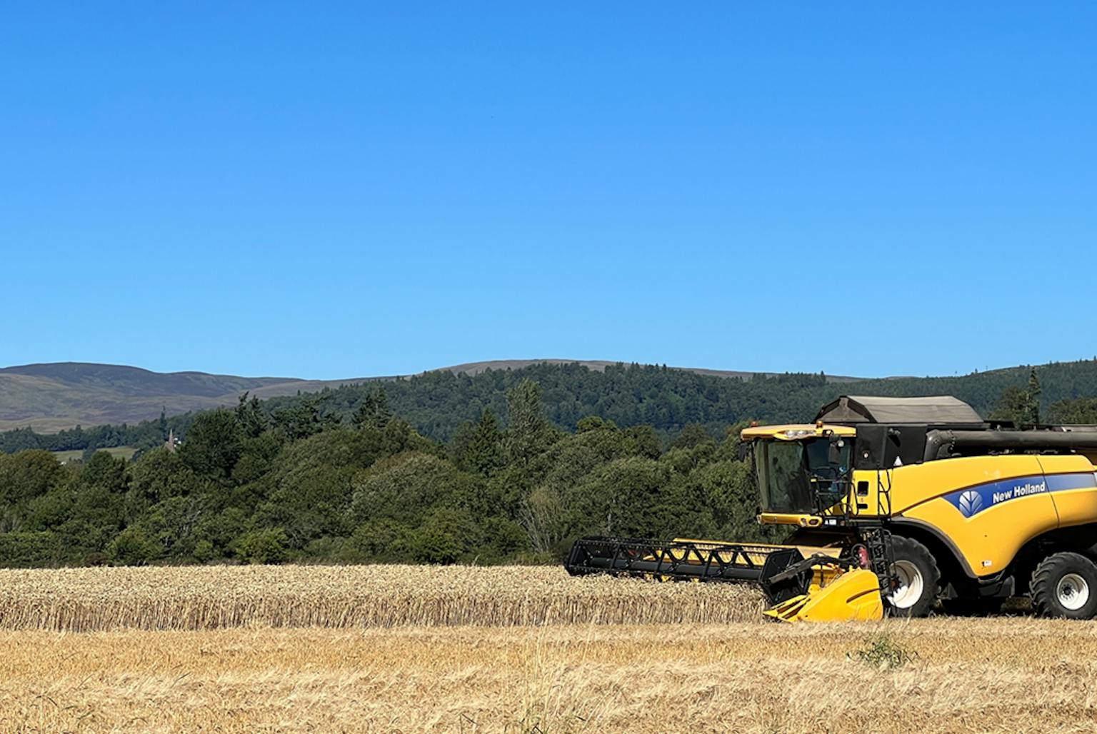 A combine harvester in a field