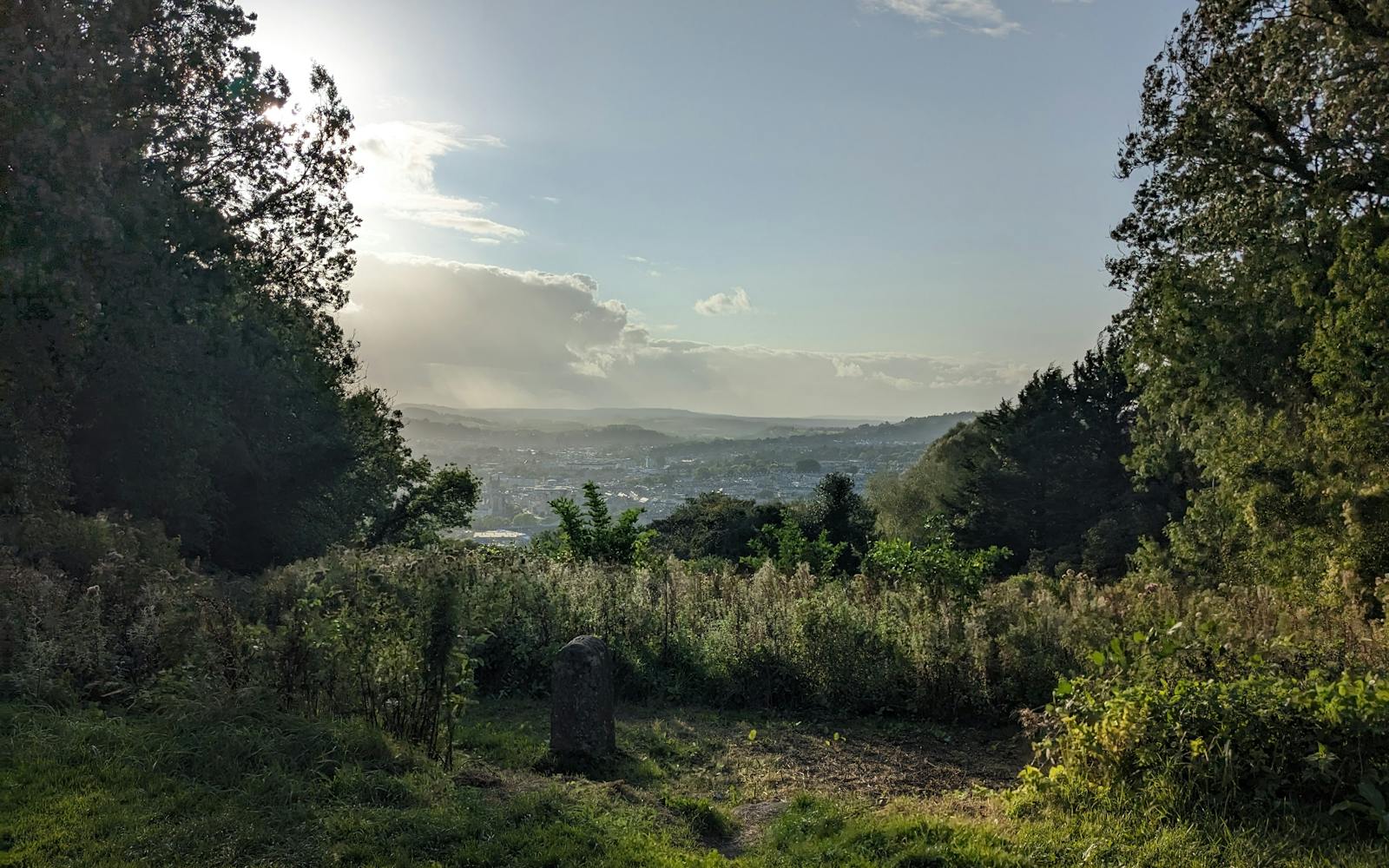 Countryside and trees with a city in the background