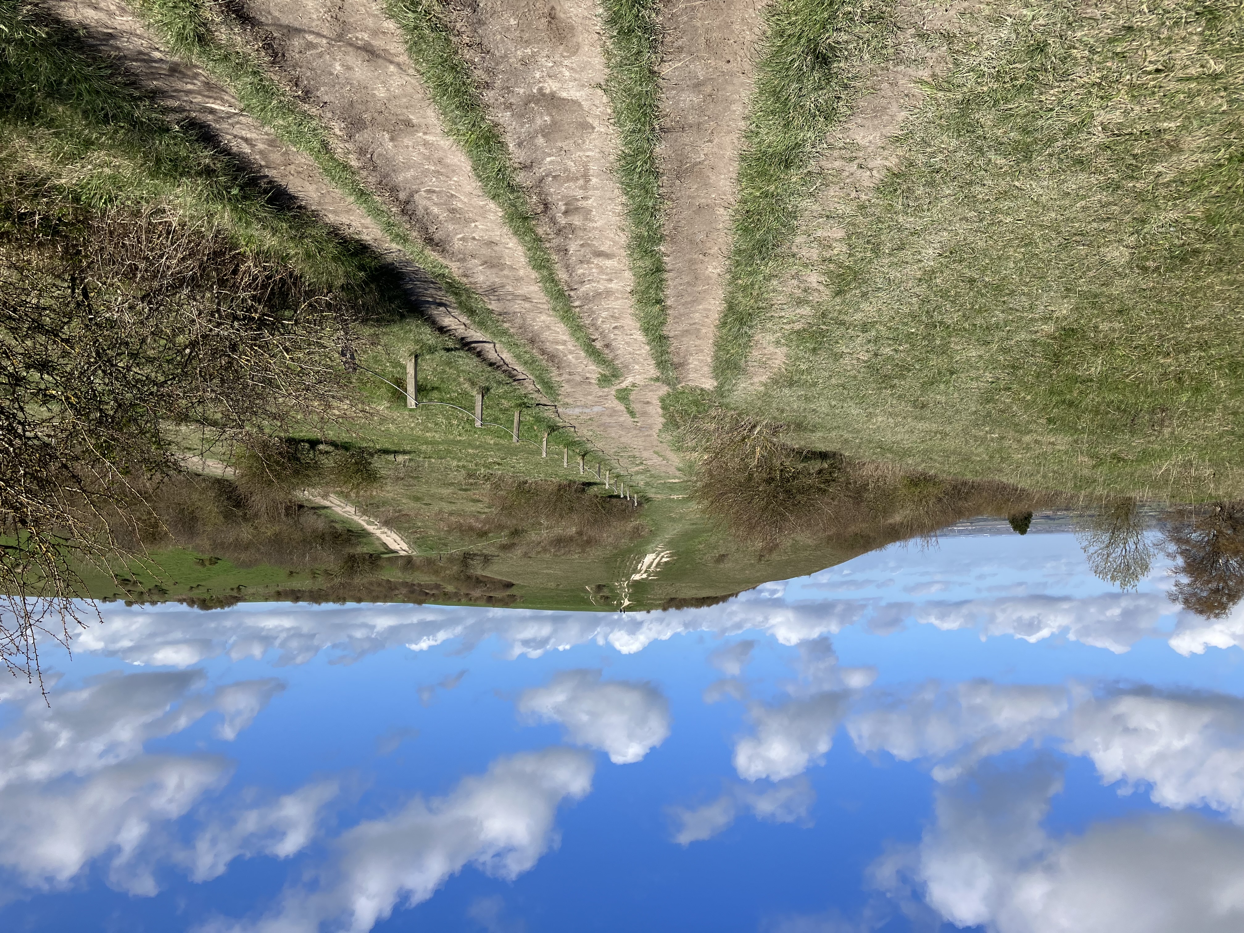 Horse grazing in a field | Countryside landscape. A brown horse with a flowing mane and tail enjoys a green pasture with fencing, set against a backdrop of rolling hills under a cloudy sky