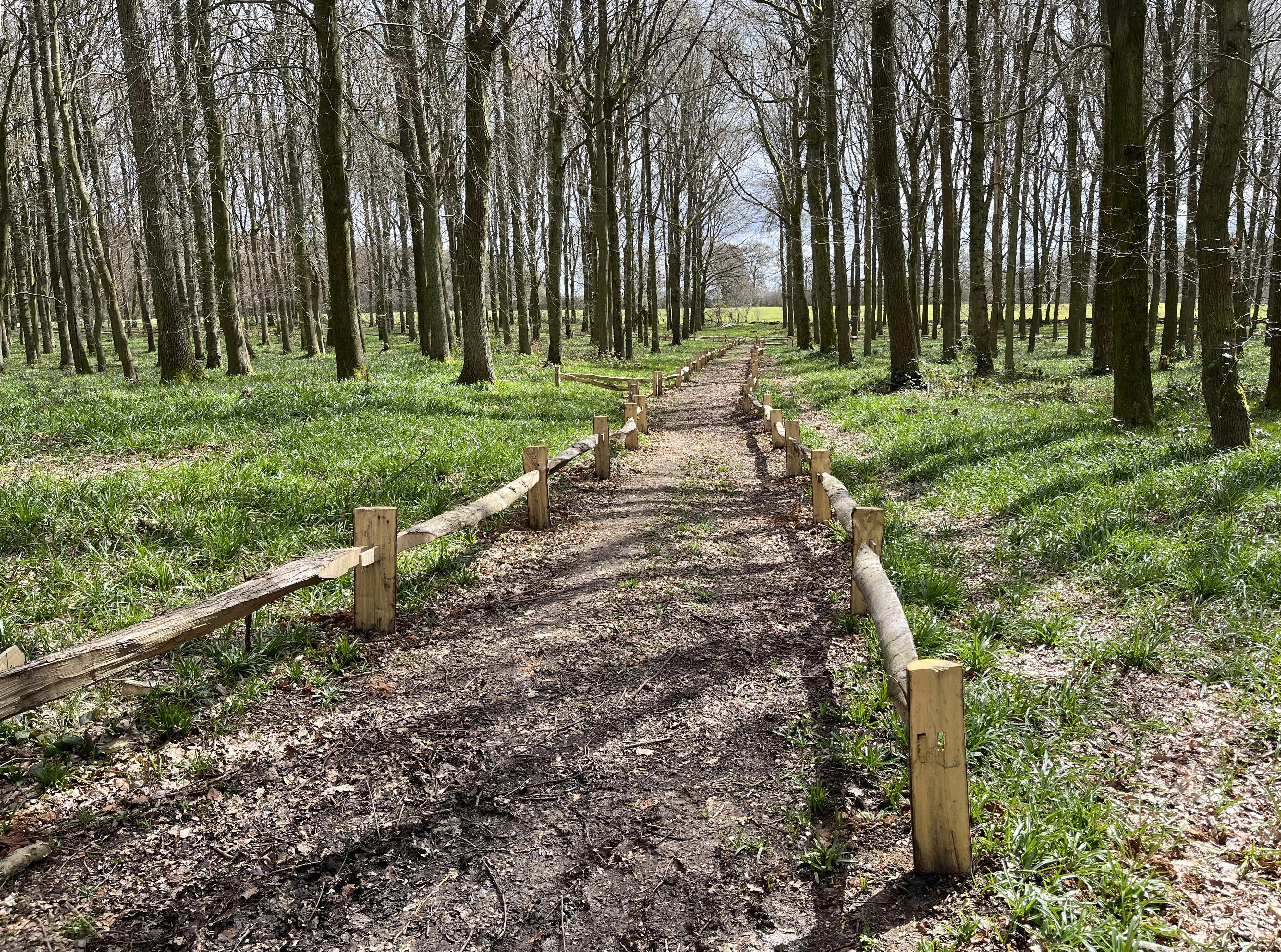 Wooden fence along a forest path | Scenic nature walk. A rustic wooden fence borders a winding dirt trail through a sun-dappled forest