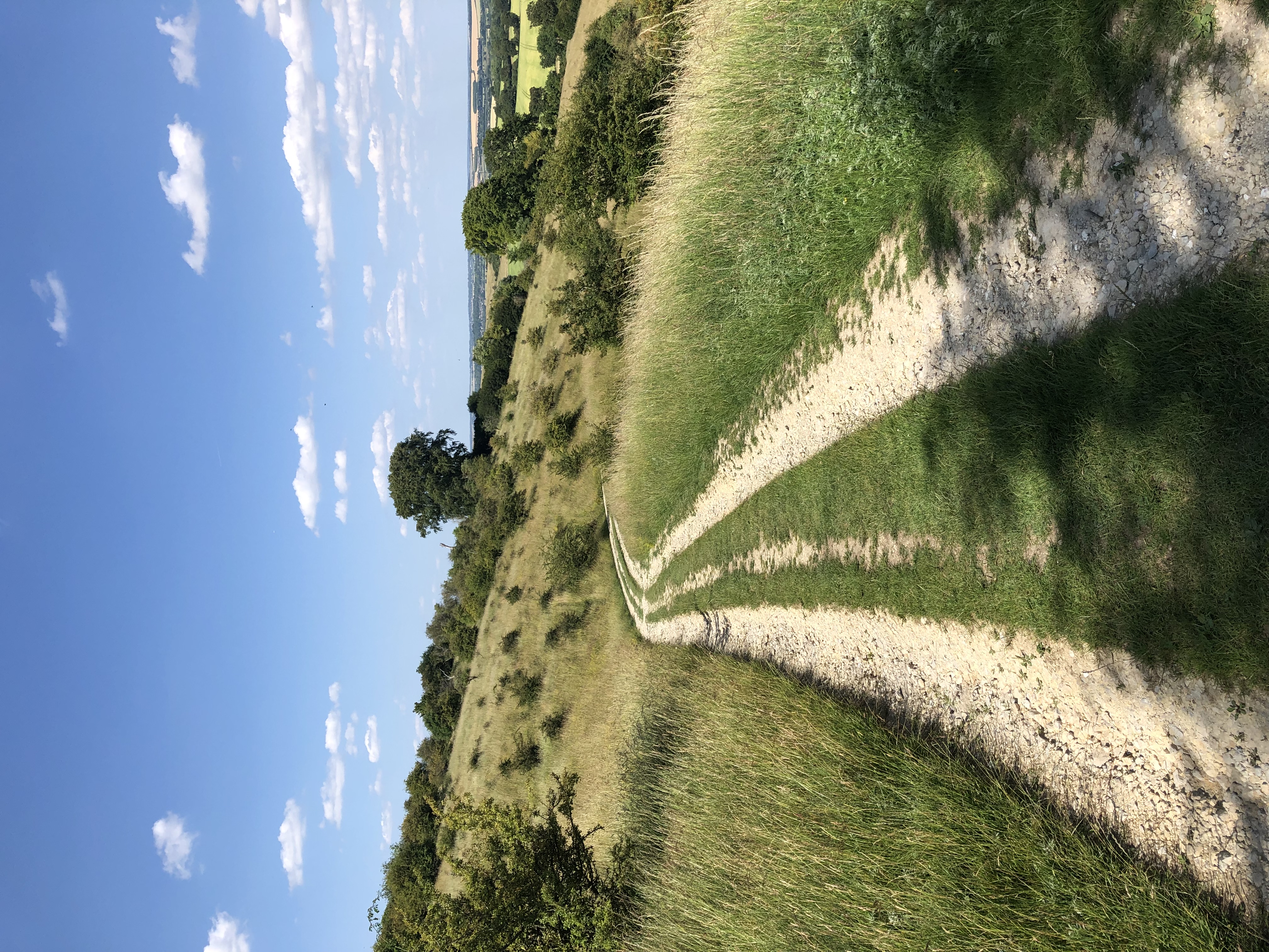 Scenic dirt road through a field of wildflowers | Summer landscape. A winding dirt path traverses a vibrant meadow bursting with wildflowers under a bright summer sky