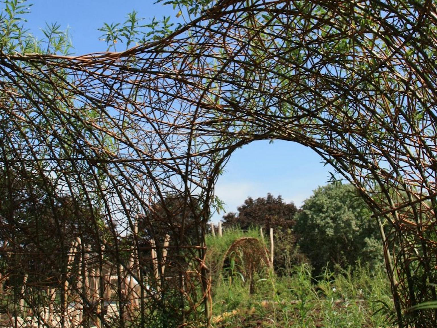 Willow tunnel garden entrance | Landscape design. A picturesque garden entrance featuring a woven willow tunnel leading to a path and flower beds