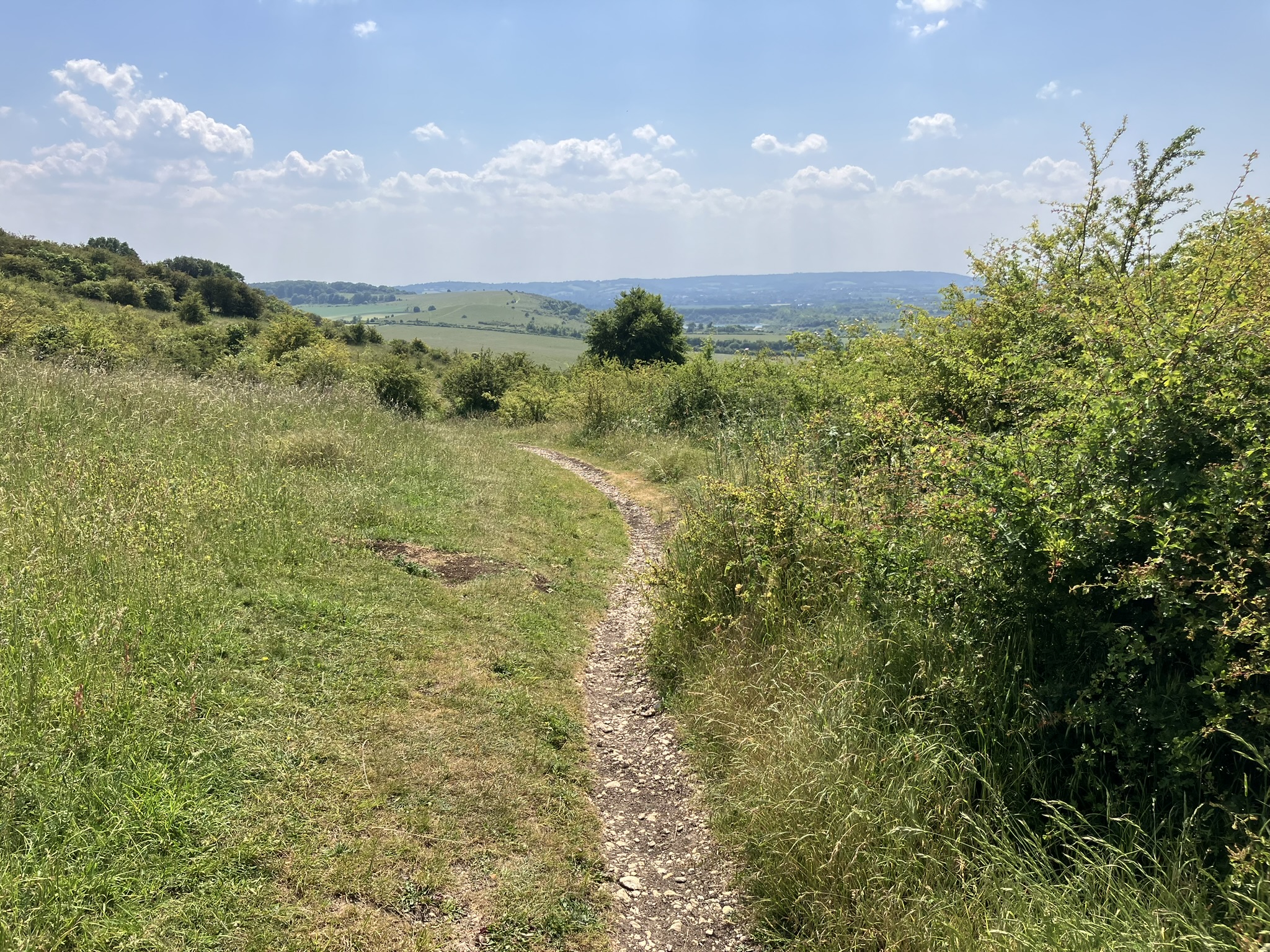 Walking path through a field | Scenic nature landscape. A winding path through a grassy meadow with trees and a clear blue sky