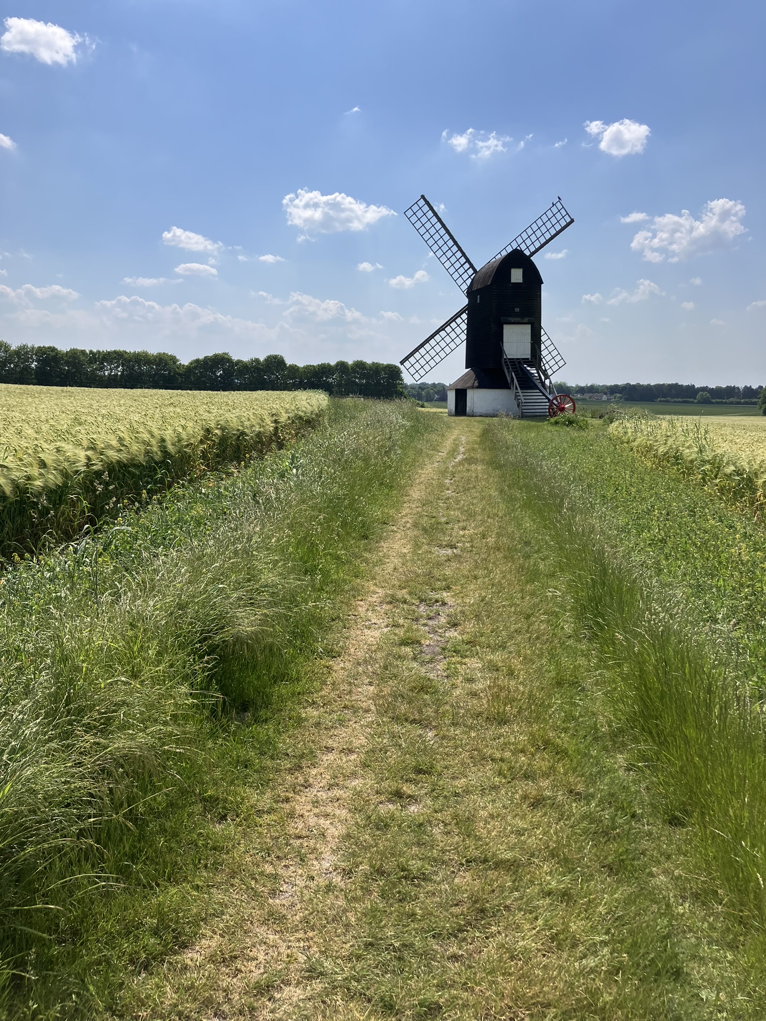 Windmill in a wheat field | Picturesque countryside landscape. A classic windmill with rustic charm stands tall in a field of ripe wheat under a bright sun