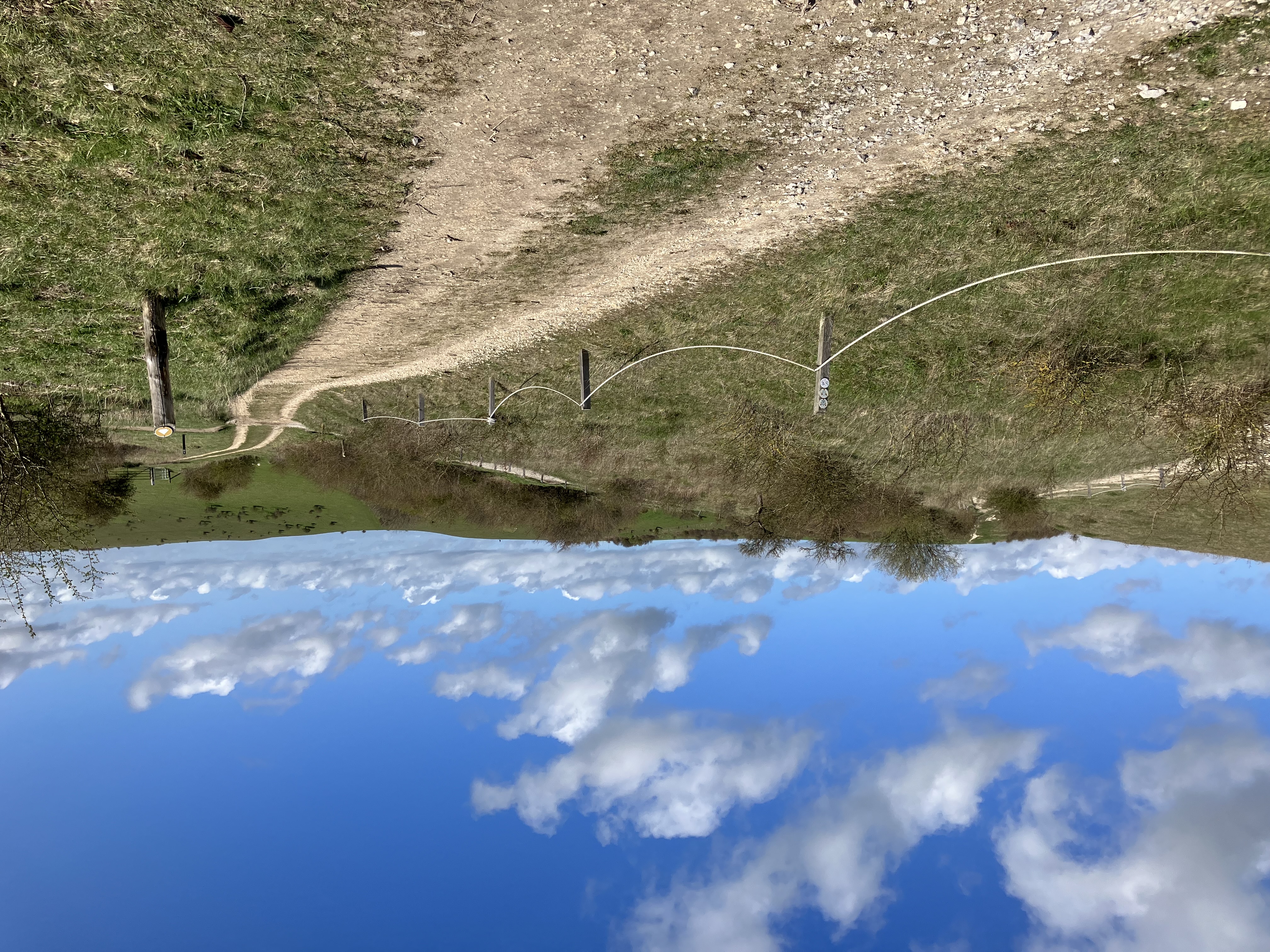 Dirt road through a field with a rope fence | Rural landscape. A dirt path traverses a grassy field sectioned off by a rustic rope fence in a rural setting
