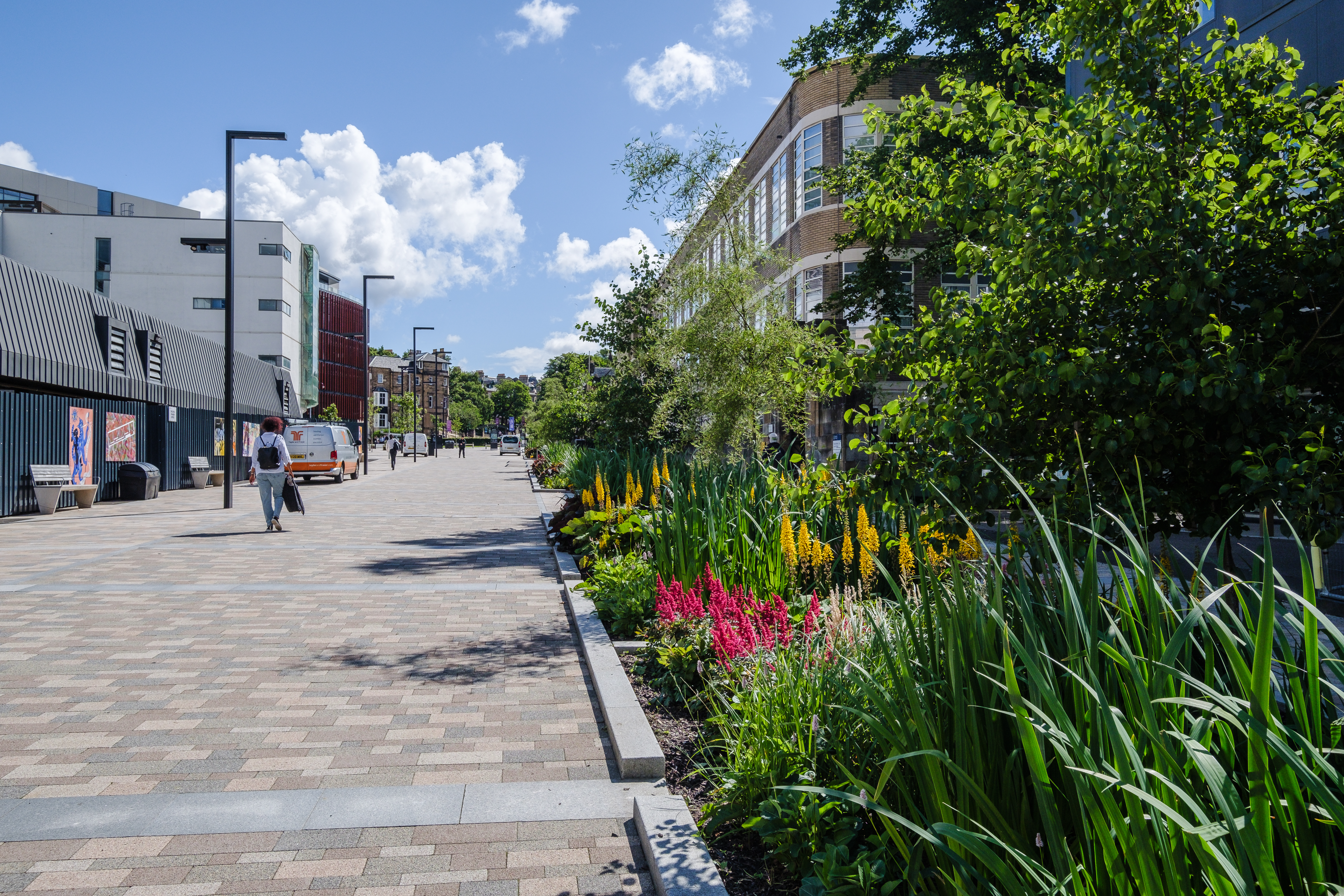 A sunny pavement lined with yellow irises and other flowers, with trees in the background. People are walking on the pavement