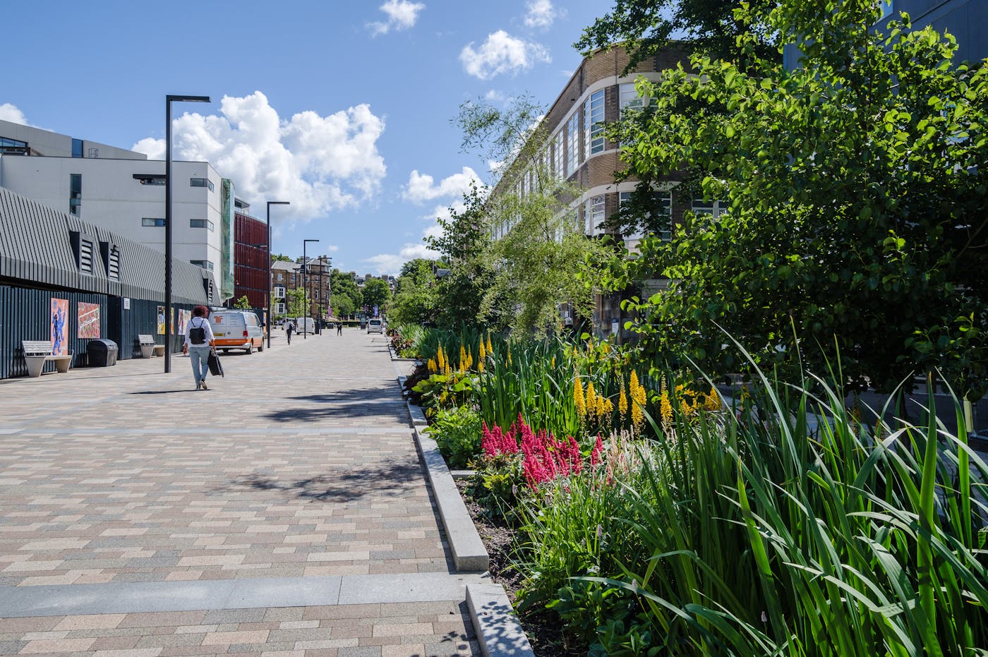 A sunny pavement lined with yellow irises and other flowers, with trees in the background. People are walking on the pavement