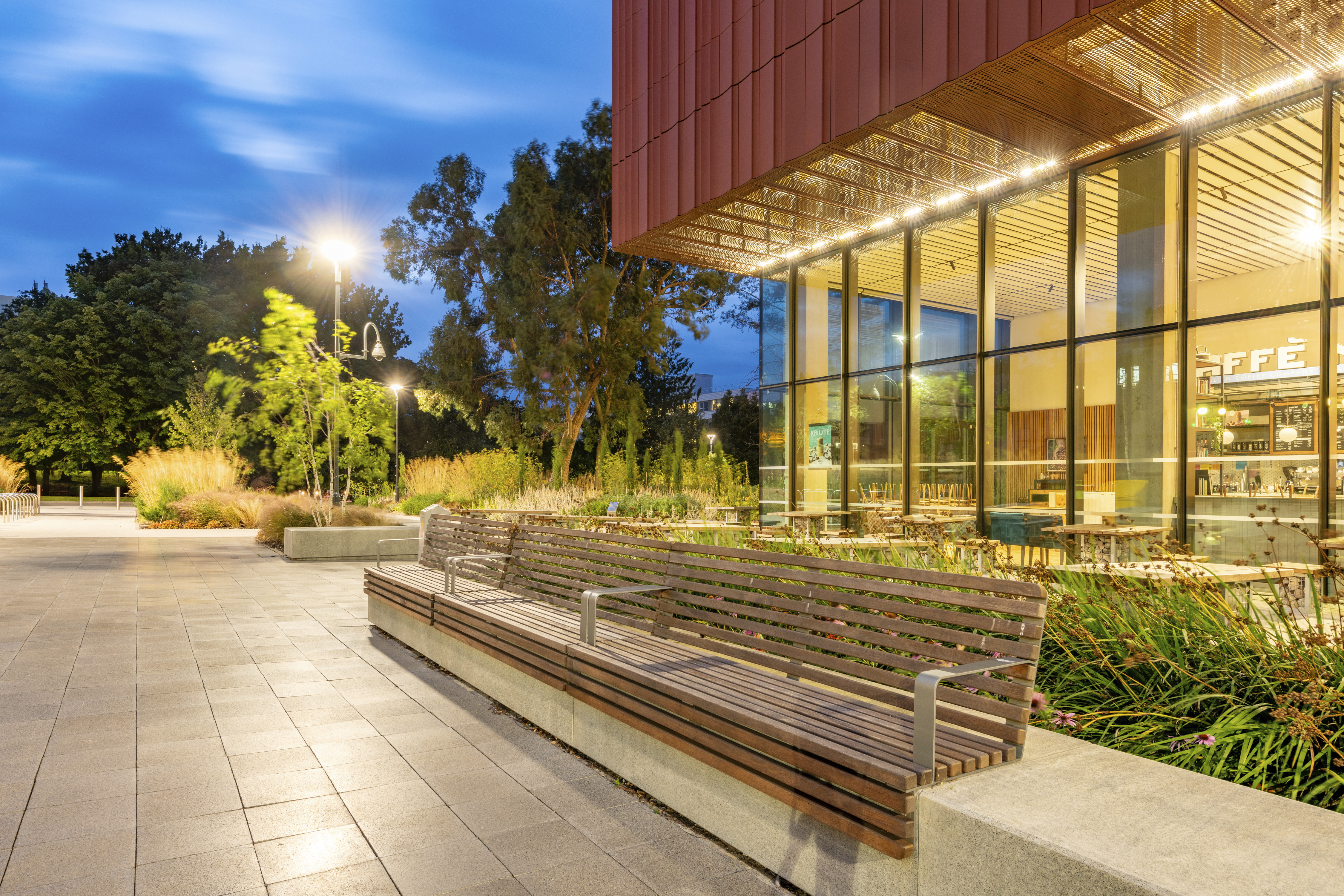 A long wooden bench sits in front of a modern glass building with large windows at night. The bench is surrounded by plants in planters