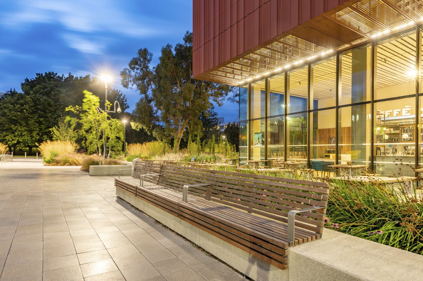 A long wooden bench sits in front of a modern glass building with large windows at night. The bench is surrounded by plants in planters