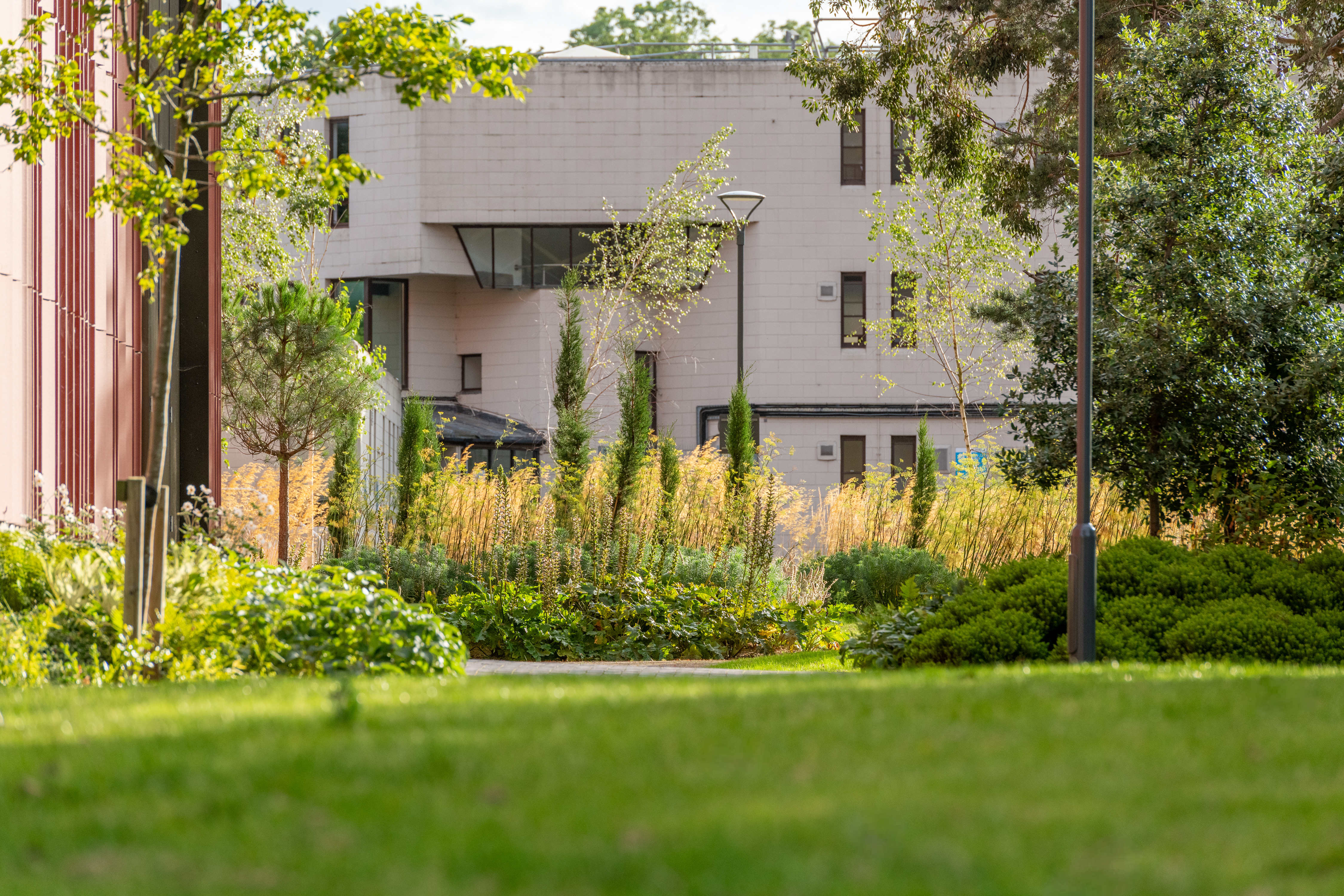 A view of a modern building with a glass facade partially obscured by blades of green grass in the foreground