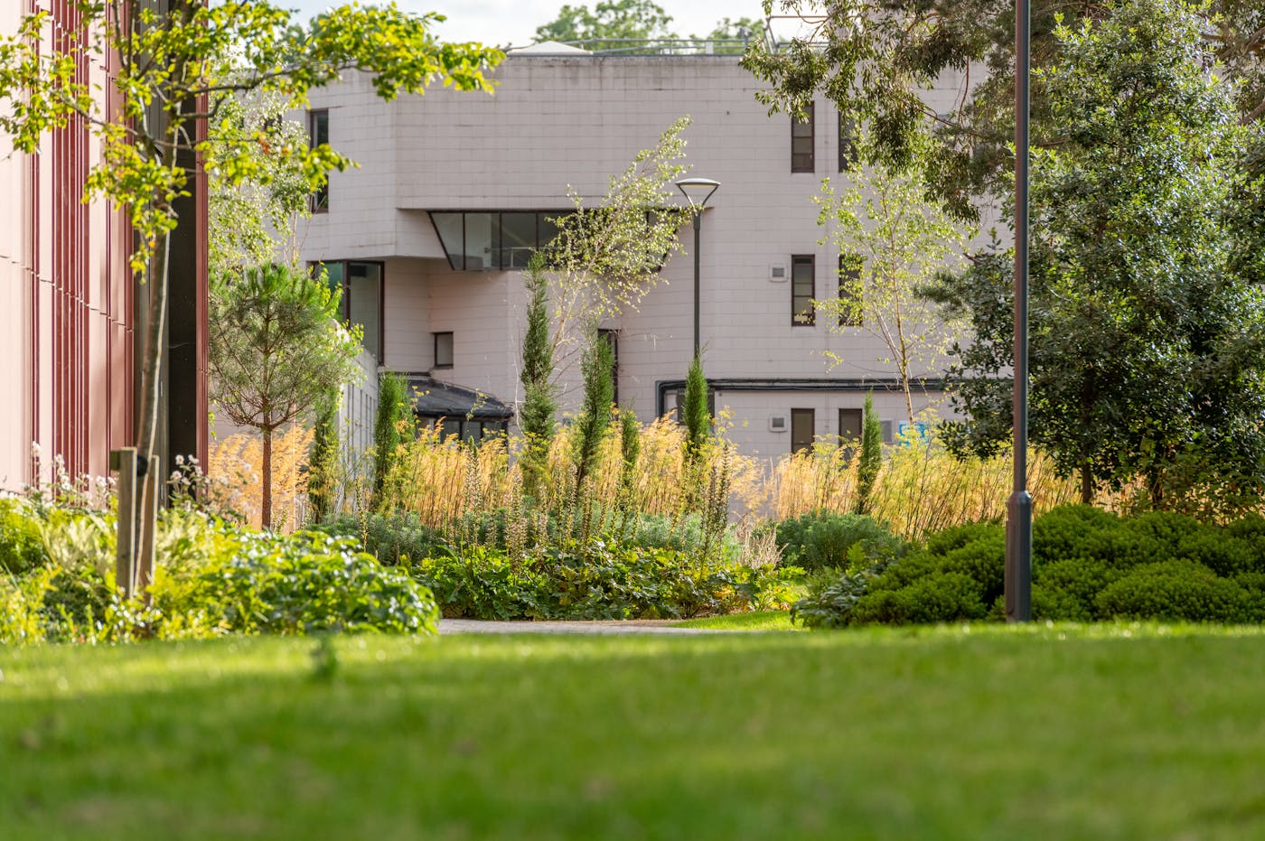 A view of a modern building with a glass facade partially obscured by blades of green grass in the foreground