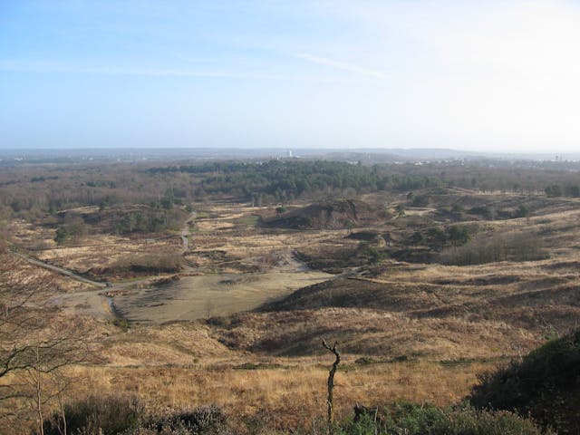 A large, grassy plain stretches out towards a line of trees in the distance. The sky is clear and blue