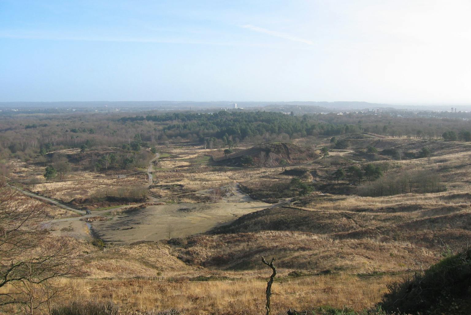 A large, grassy plain stretches out towards a line of trees in the distance. The sky is clear and blue