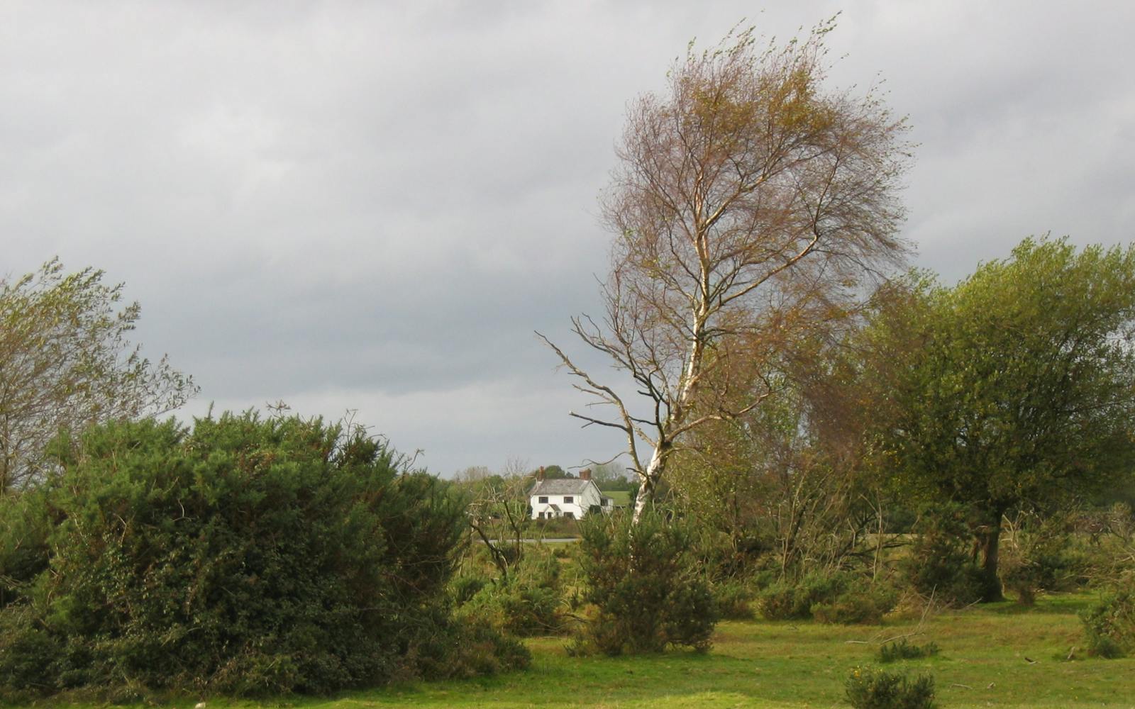 A white farmhouse with a black roof sits alone in a green grassy field under a clear blue sky