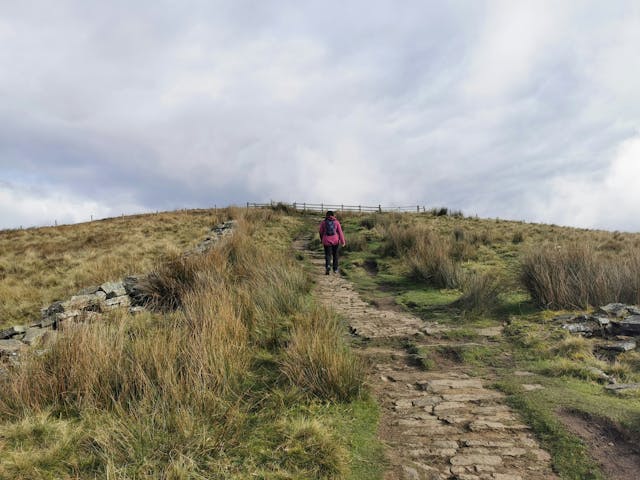 a person walking on a path