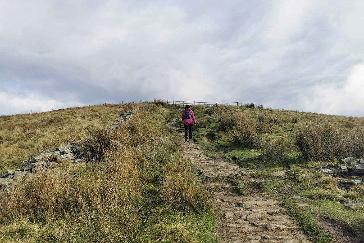 a person walking on a path