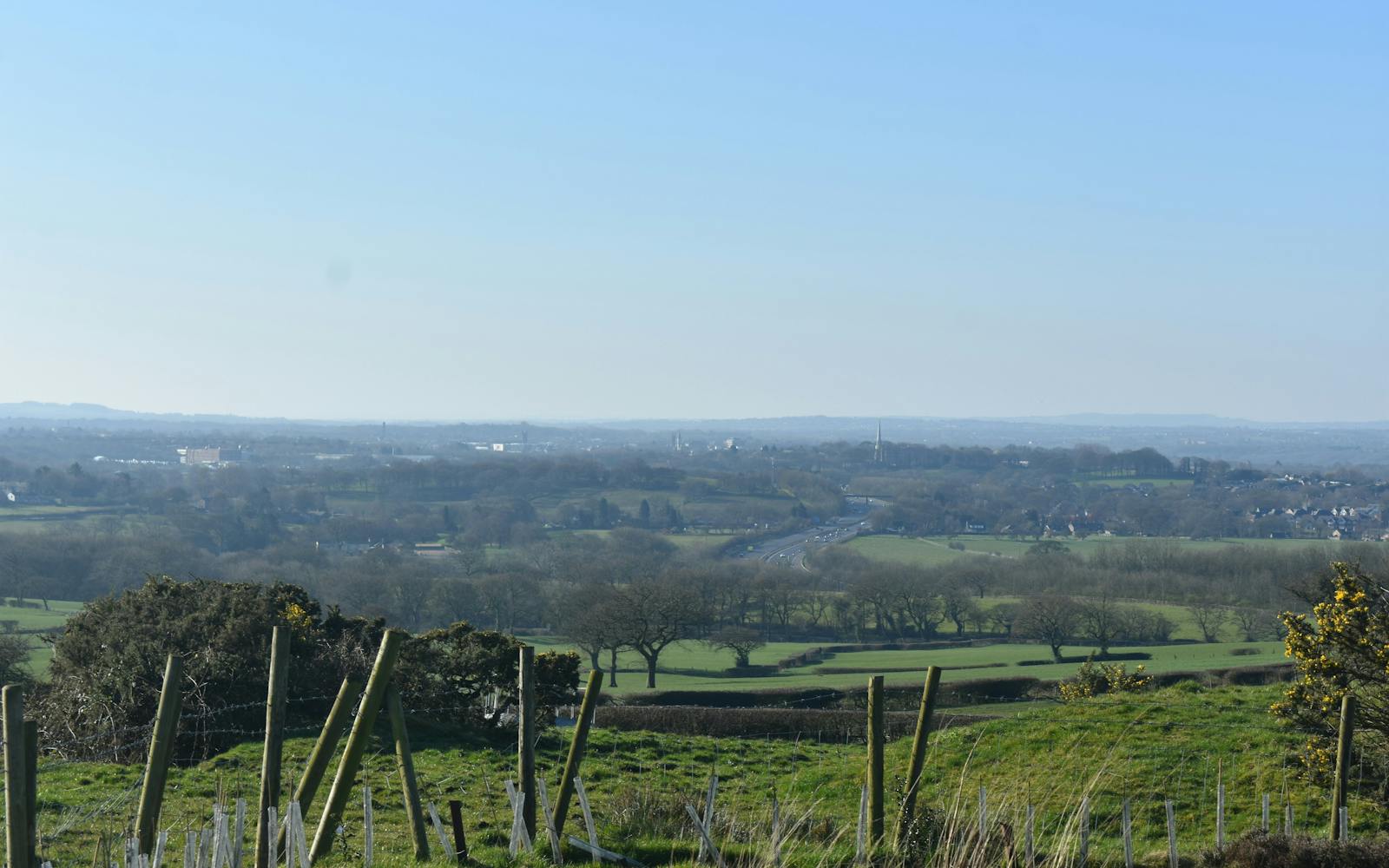 City view from a fenced field with trees in the foreground