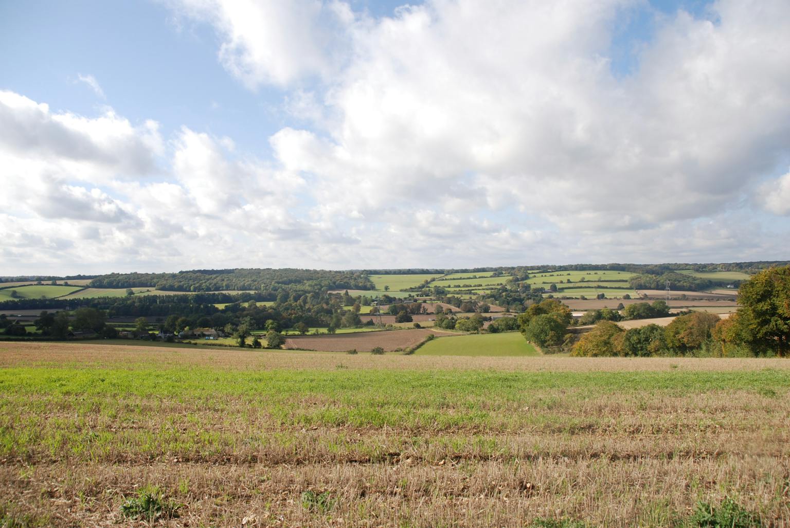 A scenic view of a lush green field with rolling hills in the background on a sunny day