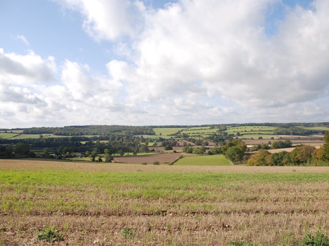 A scenic view of a lush green field with rolling hills in the background on a sunny day