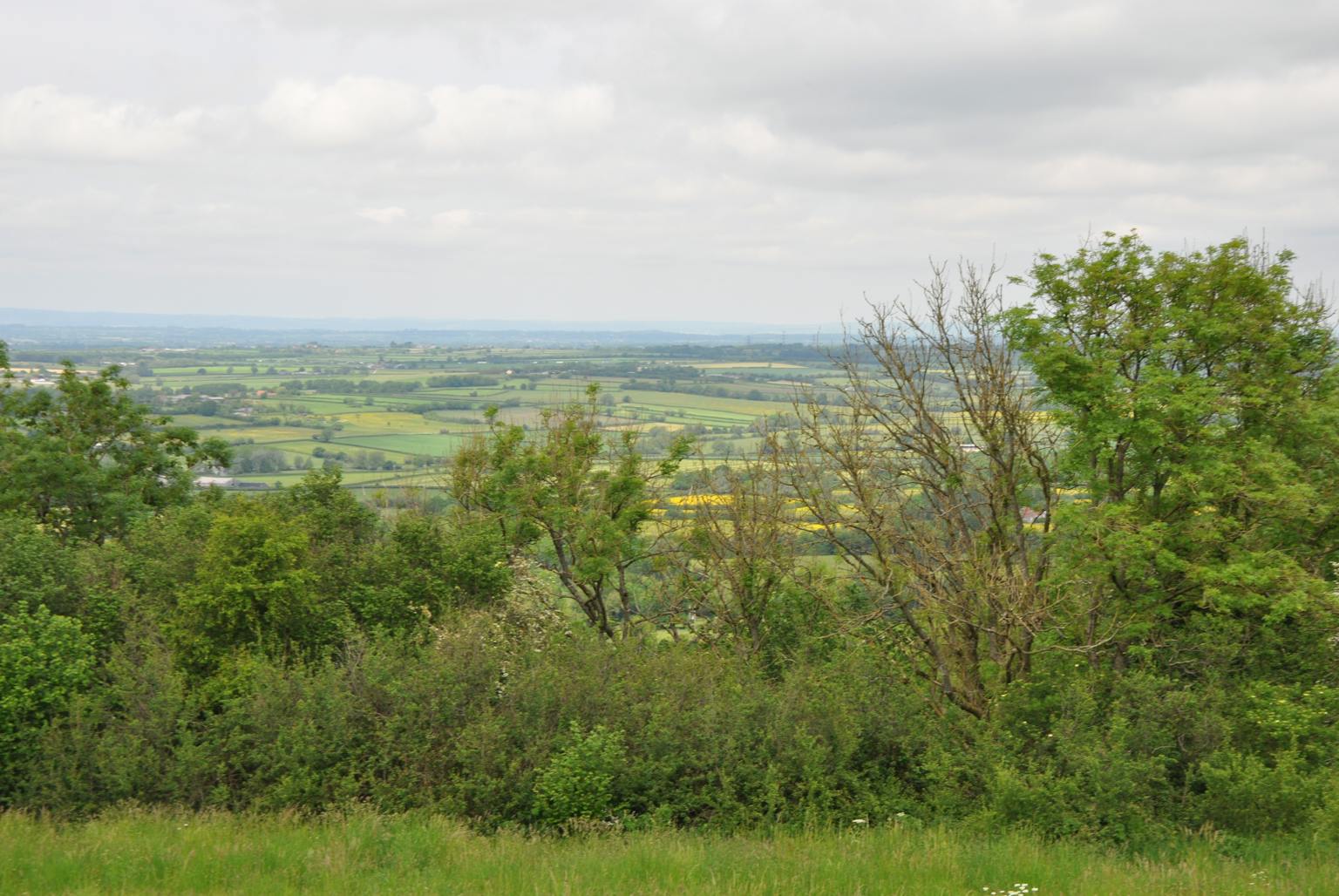 A lush green field with rolling hills leading up to a cloudy blue sky.