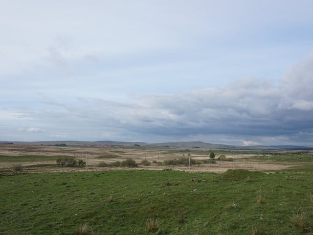 A grassy field stretching towards a cloudy sky in the distance