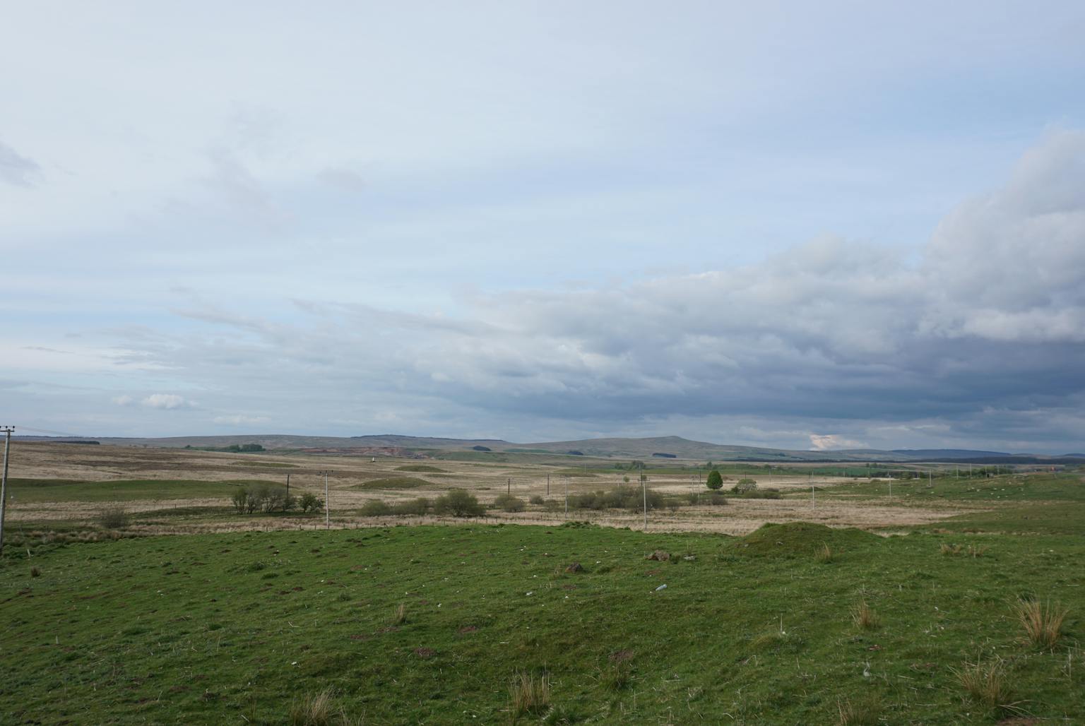 A grassy field stretching towards a cloudy sky in the distance