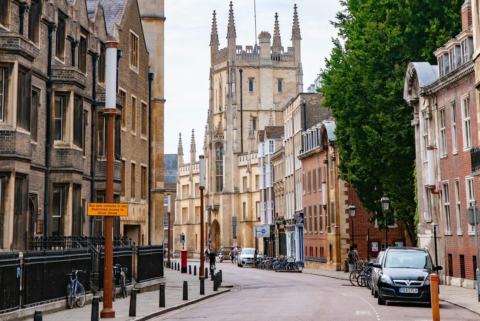 a street with buildings and trees