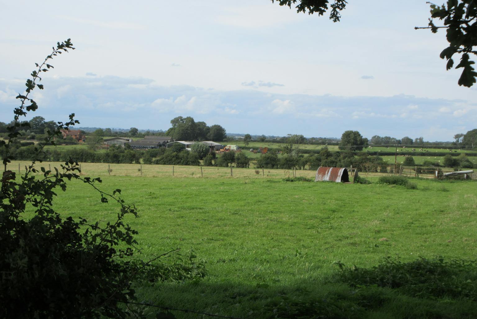 A large grassy field stretches towards a wooden barn in the distance. A fence runs along the side of the field
