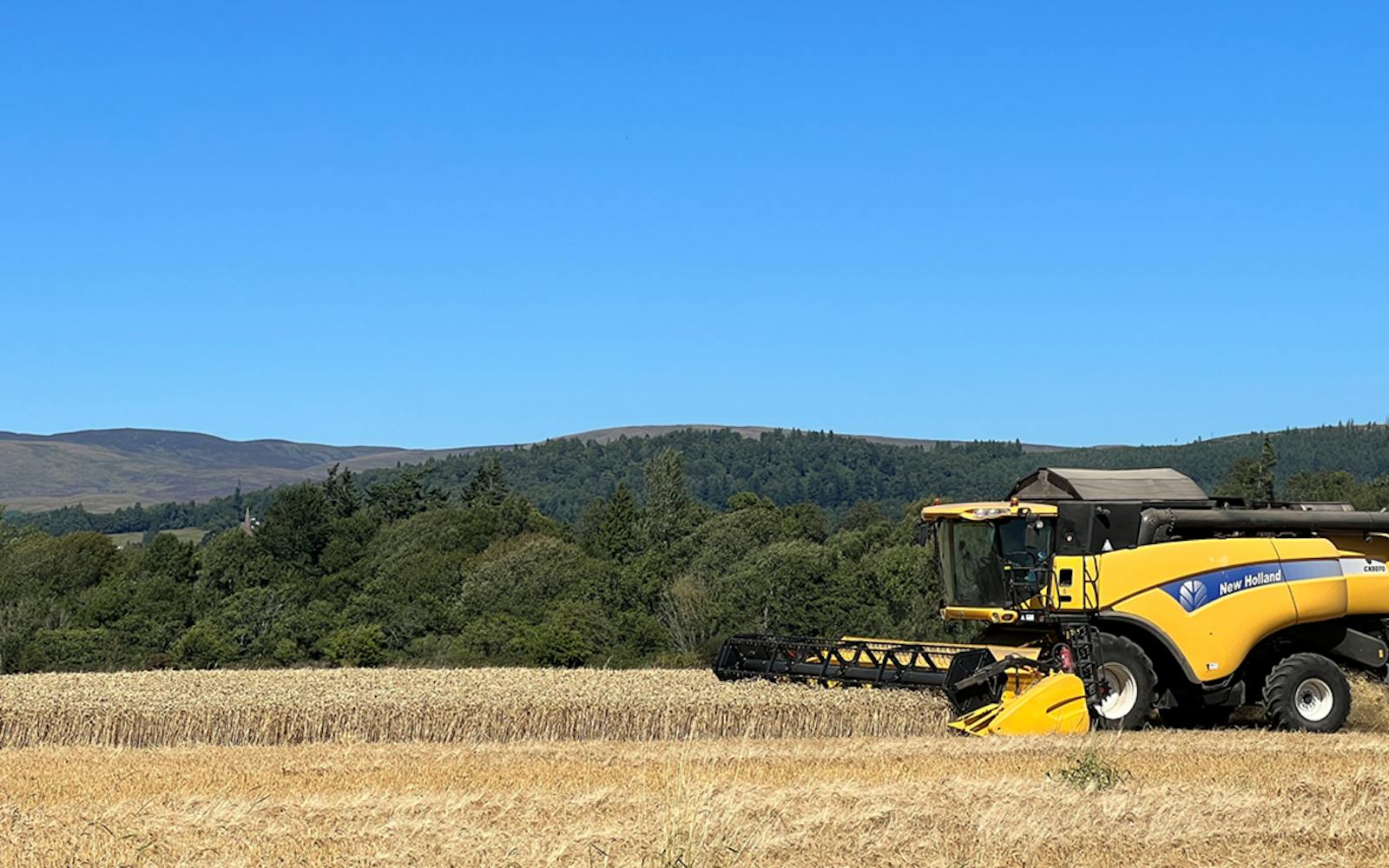A yellow combine harvester in a field of wheat