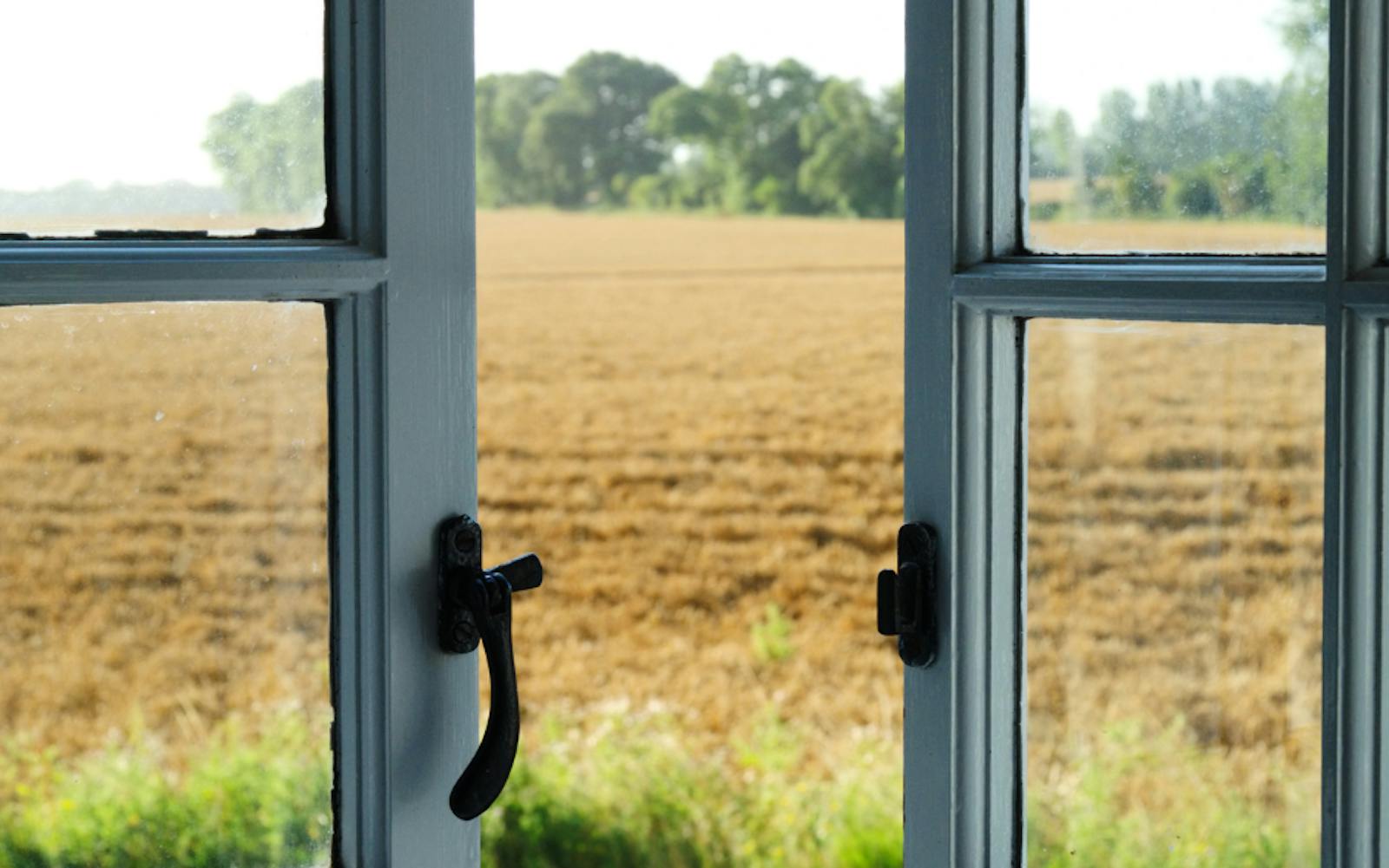 A view through a slightly open window - looking onto a field and trees