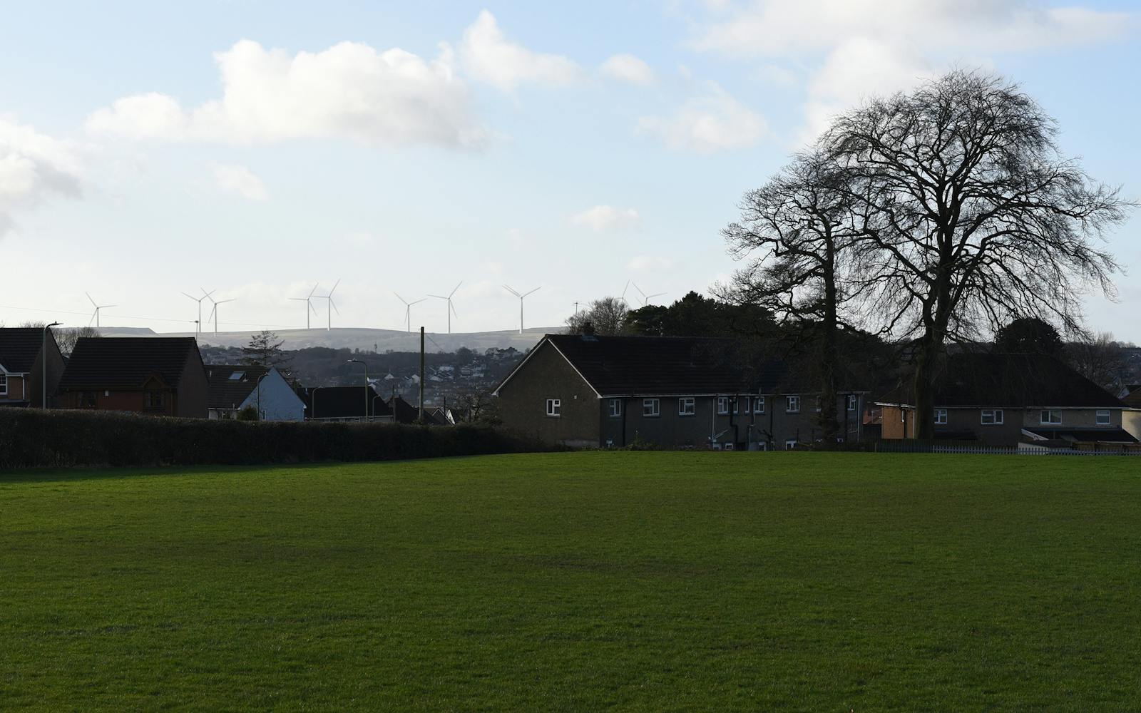 Large green field with suburban houses in the background