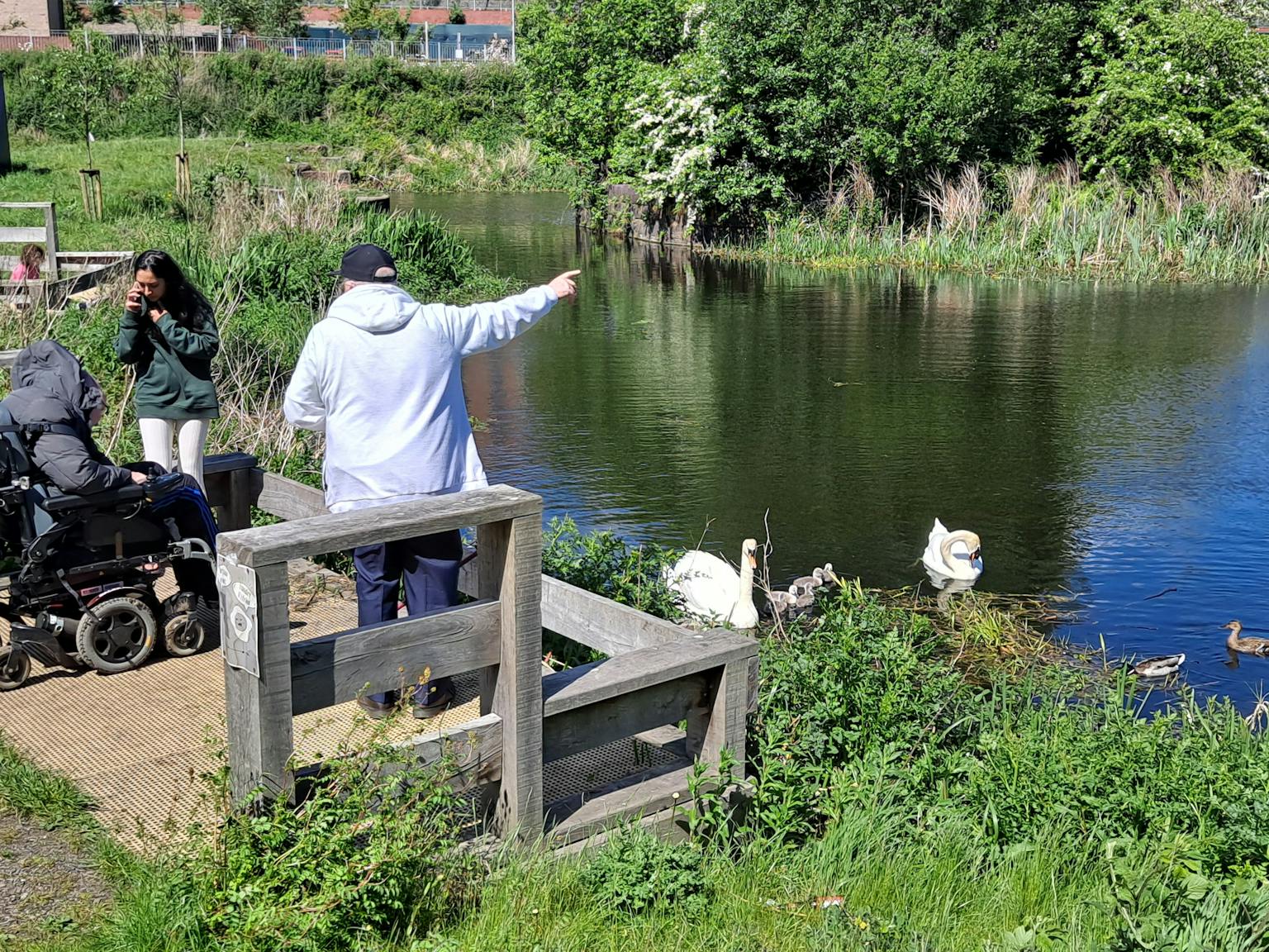 Three people, one in a wheelchair, are by a pond feeding the ducks. They are surrounded by trees and greenery on a sunny day