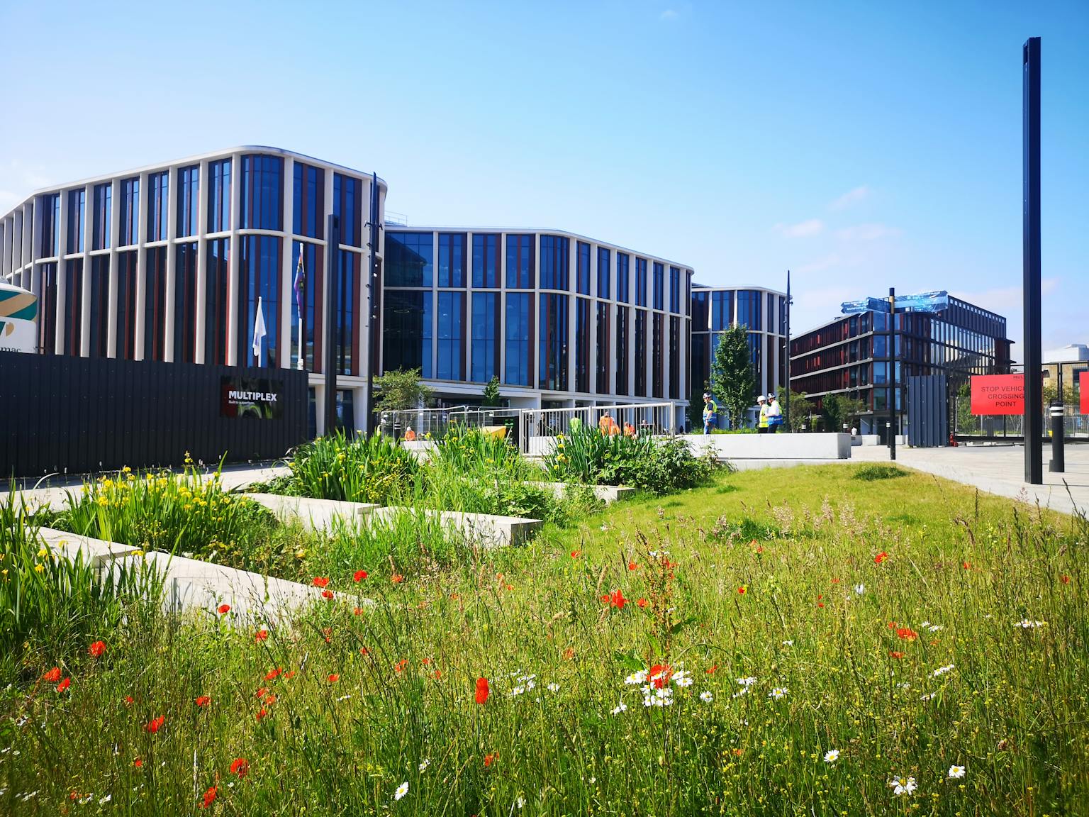 A glass-fronted building overlooking a patch of grass with wildflowers on a sunny day