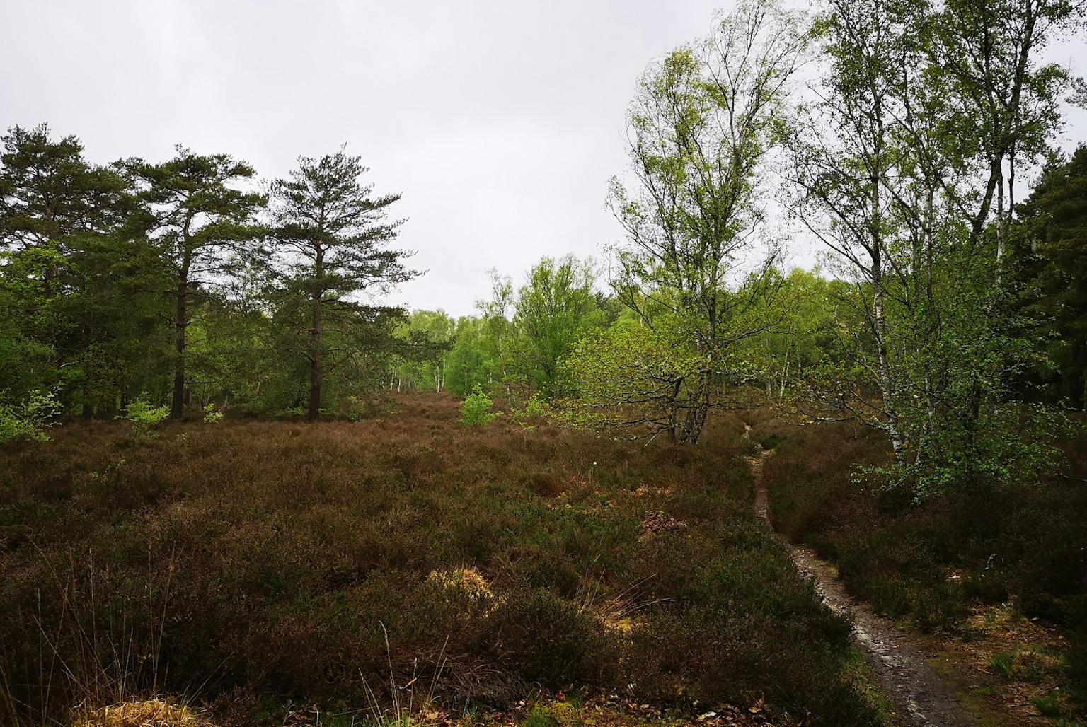 Surrey Countryside Enhancement Programme