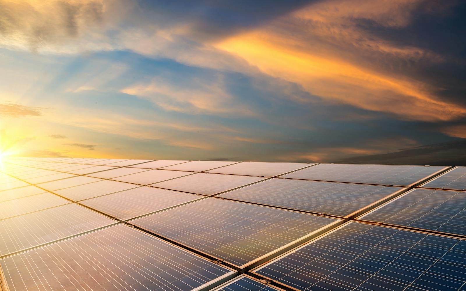 solar farm