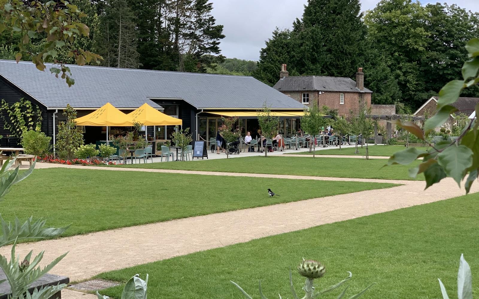 An outdoor cafe with yellow umbrellas and a black awning on a sunny day. People are sitting at tables on a patio enjoying food and drinks. The cafe is located in a garden with green lawns, gravel paths, and lush foliage. A magpie is walking on the grass in the foreground.