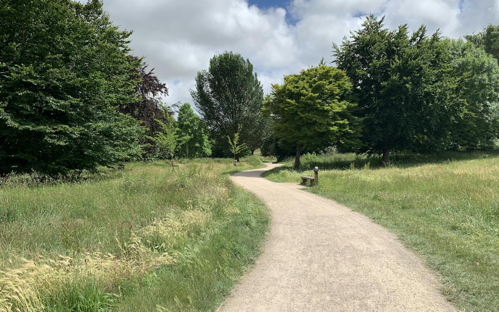 A winding gravel path through a sunny meadow bordered by lush green trees.