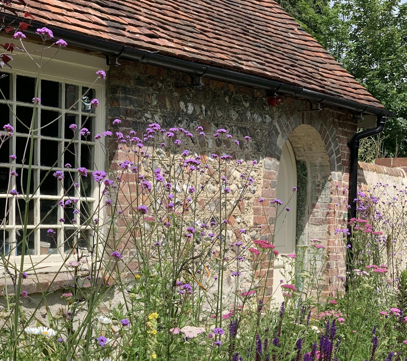 A lush wildflower garden with purple verbena bonariensis, white daisies, and lavender in front of a brick building with a window and arched doorway.