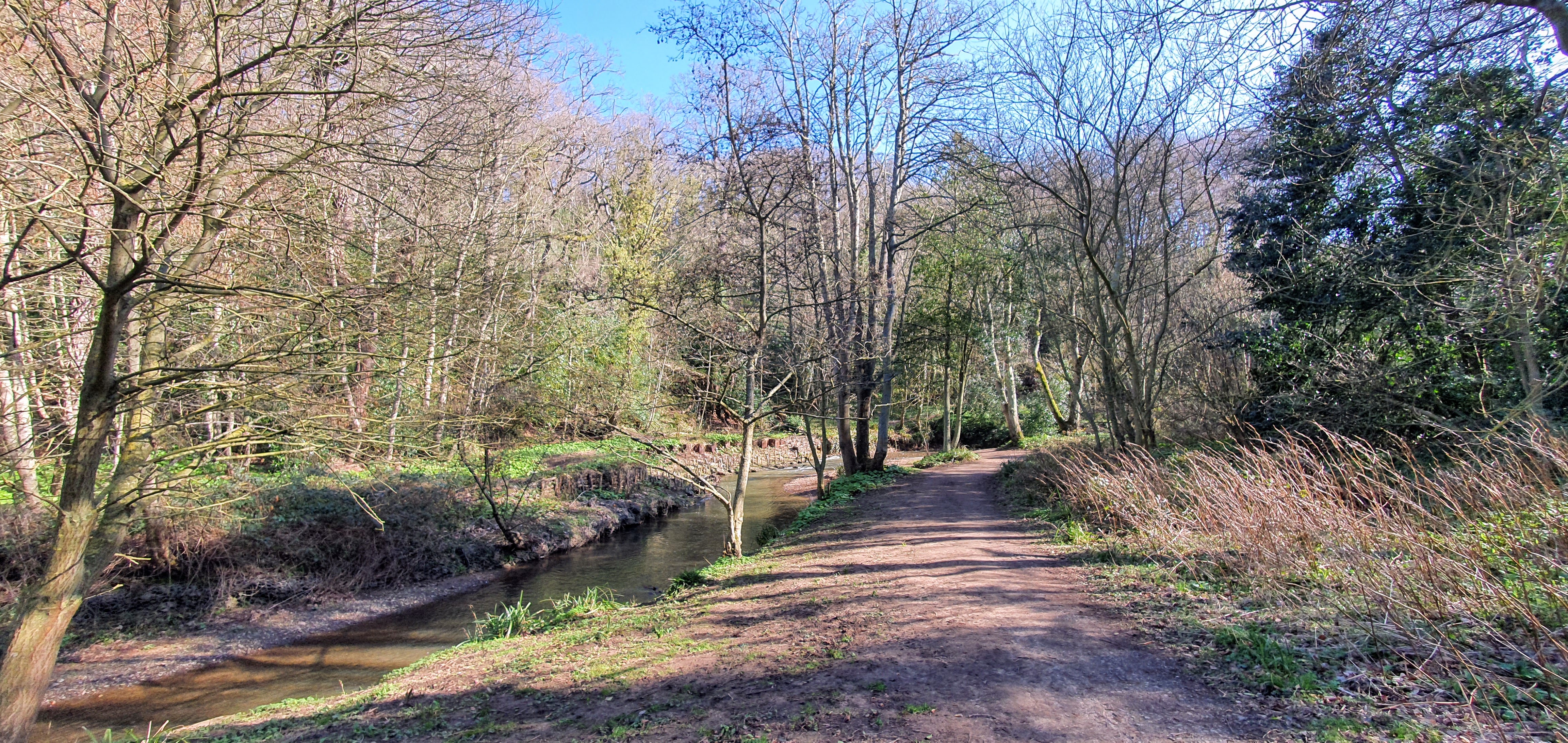 A path running alongside a stream through an area of woodland