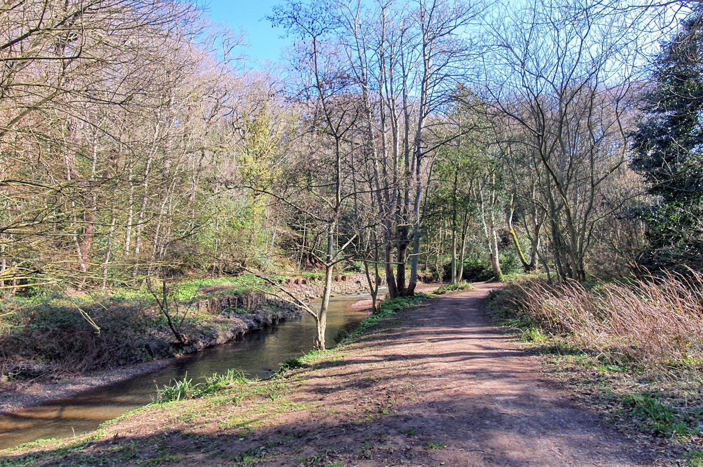 A path running alongside a stream through an area of woodland